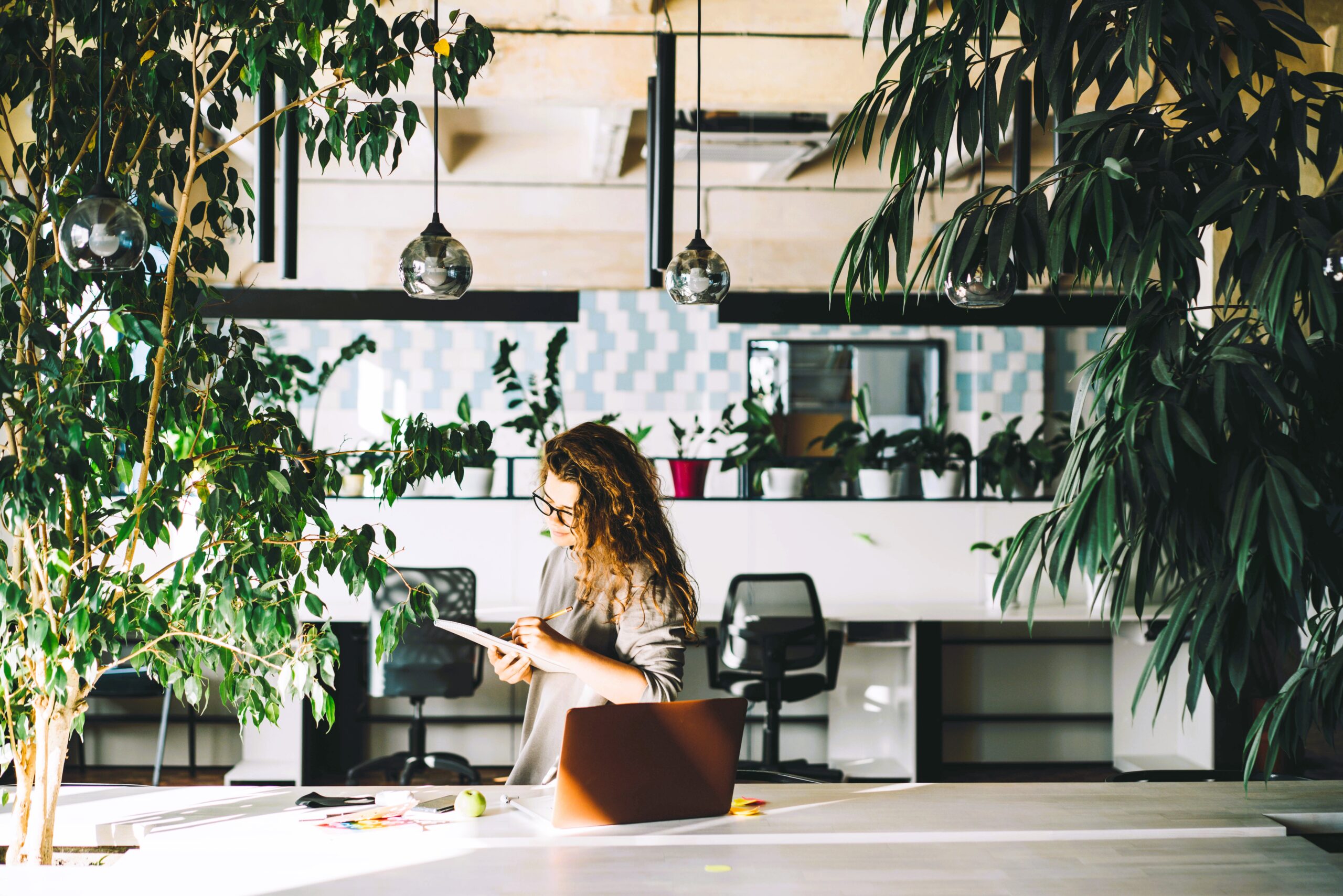 Bringing Nature Indoors: Incorporating Biophilic Design Elements