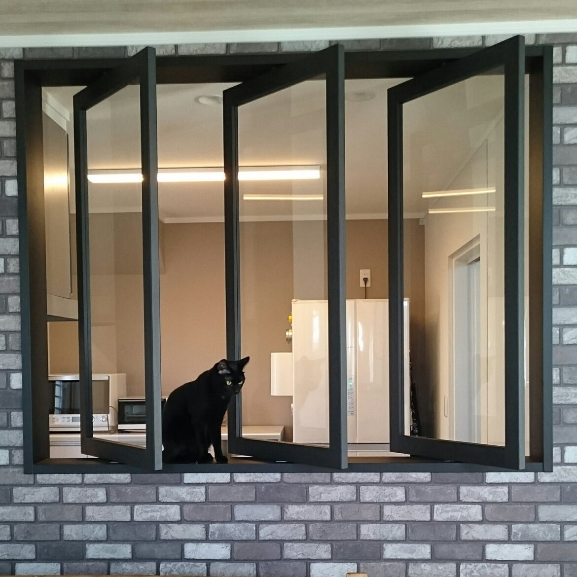 Sliding Windows – Simple, Sleek, and Built for Everyday Living