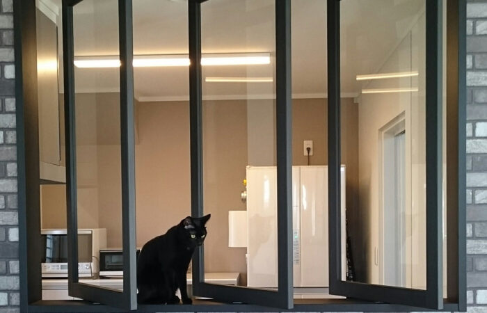 Wide-open sliding panels bring in fresh air and light - even the cat approves.